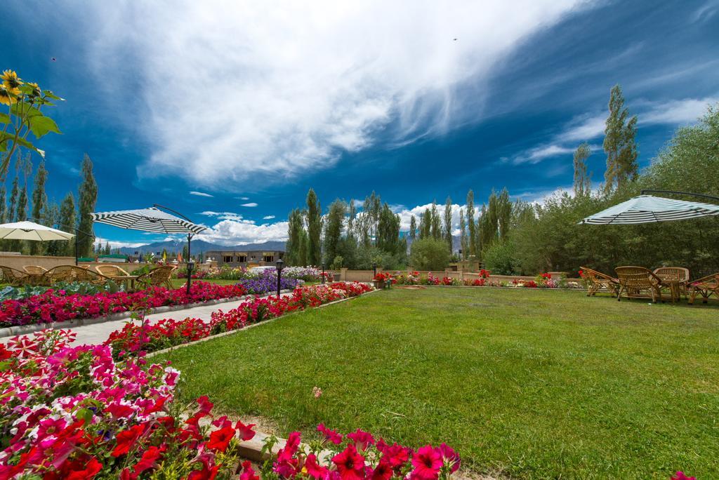 Отель The Saraha Лех Экстерьер фото